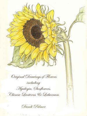 cover image of Original Drawings of Flowers Including Aquilegia, Sunflowers, Chinese Lanterns and Laburnum